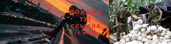 Альфа ПВП Гусев