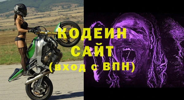 гидра Гусь-Хрустальный