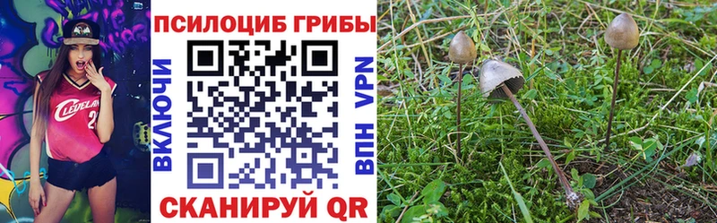 Галлюциногенные грибы прущие грибы  Купить закладки  Тайга 